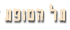 על מופע השנסונים